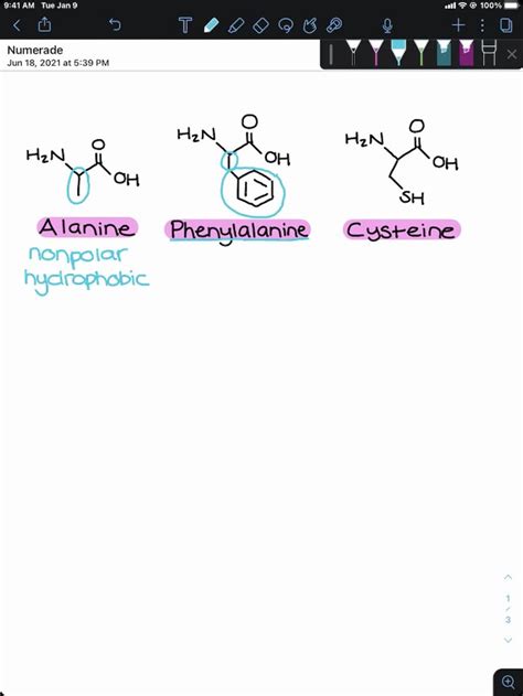 SOLVED Classify The Following Amino Acids As Polar Nonpolar