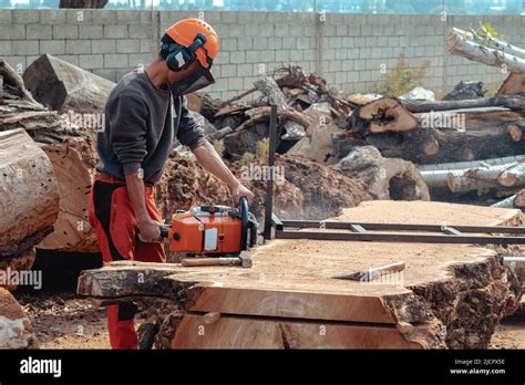 Lumberjack Cutting Tree Trunk With Giant Chainsaw To Make Wooden Planks