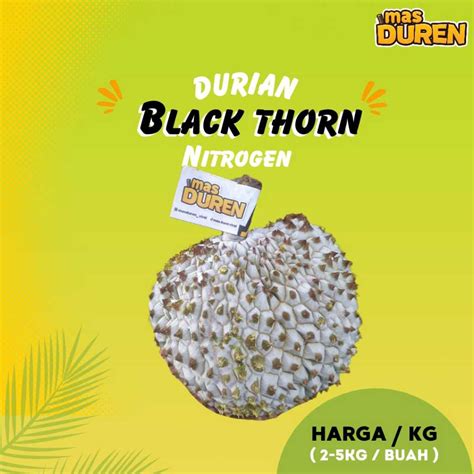 Jual Durian Black Thorn Nitrogen Malaysia Duren 1 Buah Utuh Harga KG