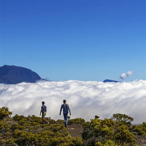 Balad Volcan Excursion Reunion Island Watoosee