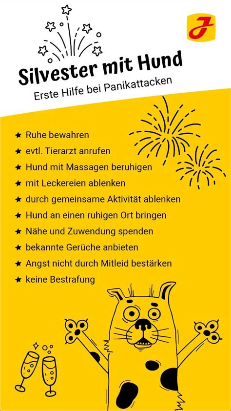 Hund An Silvester Angst Senken Und Stress Verhindern