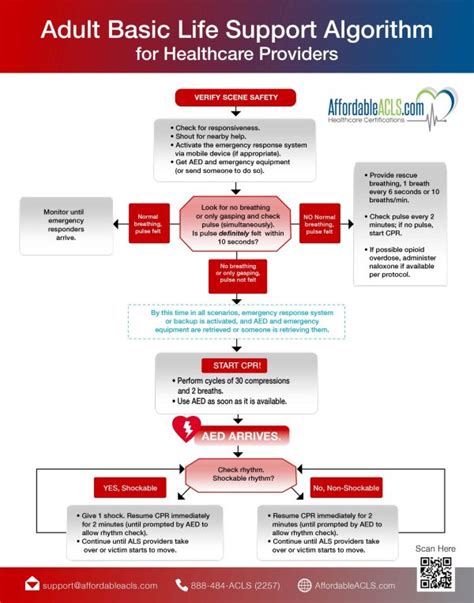 Adult Basic Life Support Algorithm Affordableacls