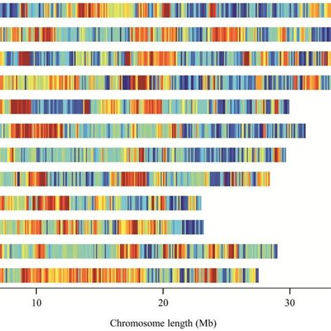 Distribution Of Snps Used In Qtl Seq Analysis On Rice Genome