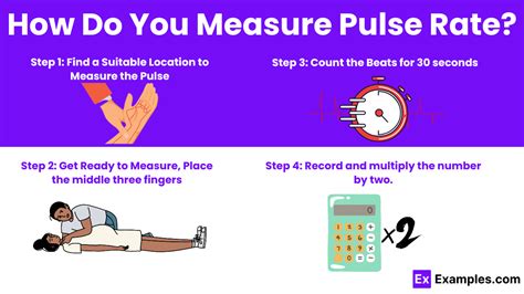 Pulse Rate Essential Guide To Measuring Heart Beats