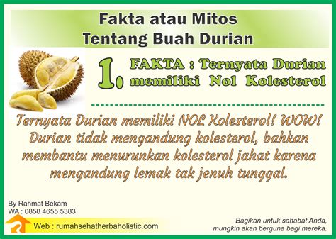 Fakta Atau Mitos Tentang Durian Rumah Sehat Herba Holistic