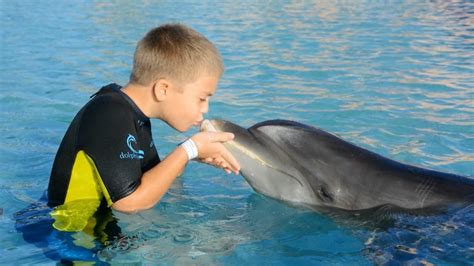 SWIMMING WITH DOLPHINS! - YouTube