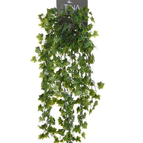 Louis Maes Kunstplant Hangplant Klimop Hedera Groen Wit 80 Cm