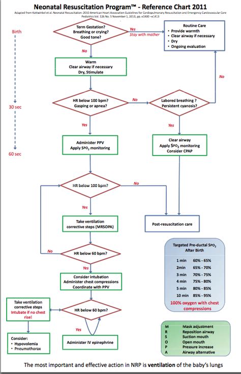 Nrp 6th Edition Flow Diagram Printable Nrp Algorithm