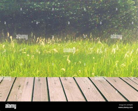 Wood table top Stock Photo - Alamy