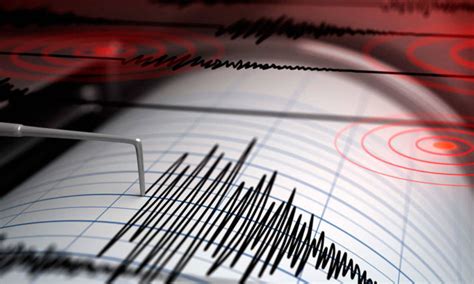 Temblor De Magnitud 59 Activó Las Alarmas En El Sur No Hubo Daños Austin Latino