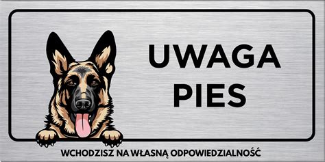 Uwaga Pies Tabliczka Owczarek Niemiecki X Uv Allegro Pl