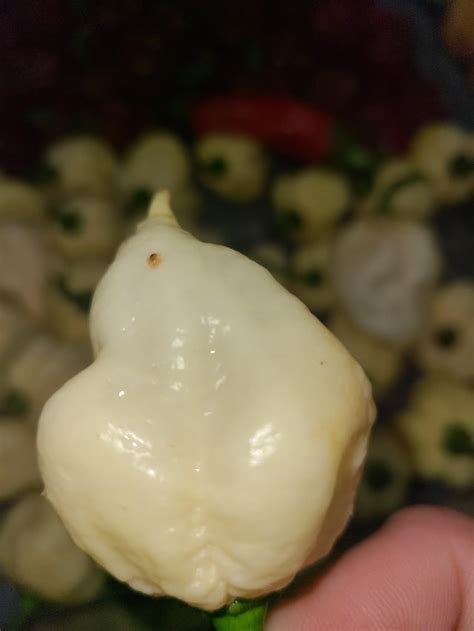 What Is Green Mustard Sauce Raskculinary