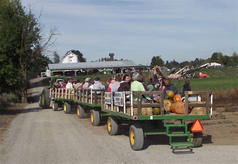 Hay Rides