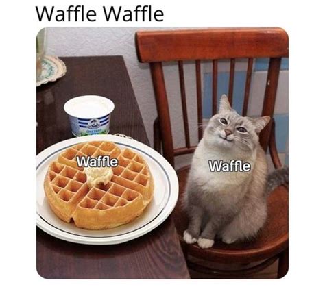 20 Waffle Memes Perfect for International Waffle Day - Funny