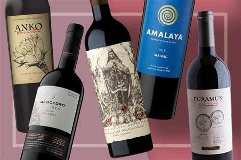 9 Bottles of Argentine Malbec to Buy Right Now