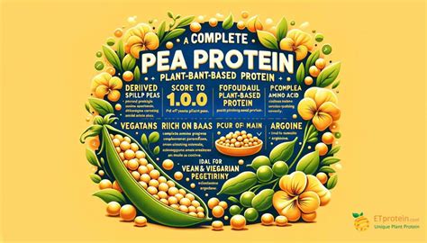 Pea Protein Vs Rice Protein An Expert Analysis