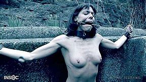 Lexi Foxy Porn Videos PornTV