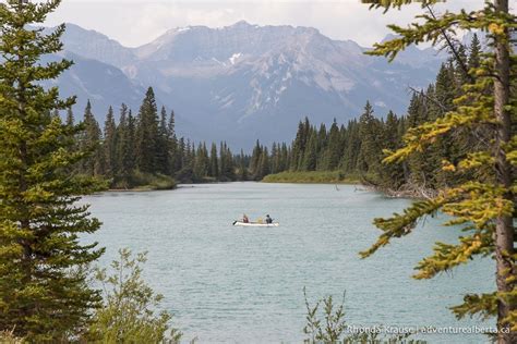 Horseback Riding in Banff- What to Expect on a Guided Banff Trail Ride