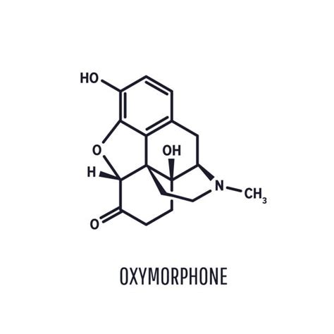 Morphine Structure Illustrations, Royalty-Free Vector Graphics & Clip Art - iStock