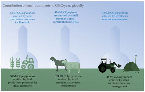 Sustainability Free Full Text Sustainable Strategies For Greenhouse