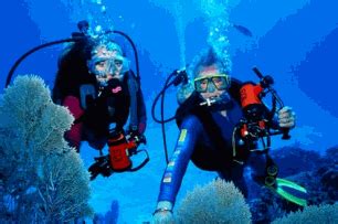 Dive Sites #1 Guide To Diving The Reefs And Wrecks In The Florida Keys