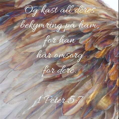 An Image Of Feathers With The Bible Verse