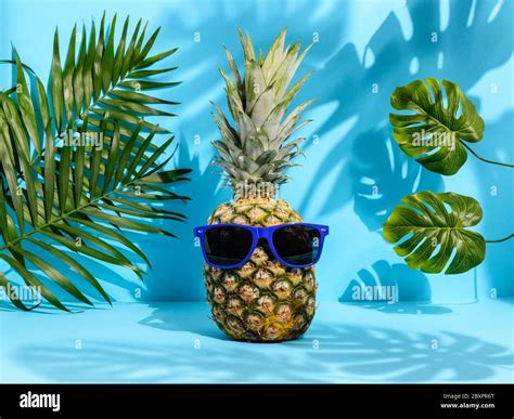 Cool Hipster Pineapple In Sunglasses Among Palm And Monstera Leaves On Blue Background Strong