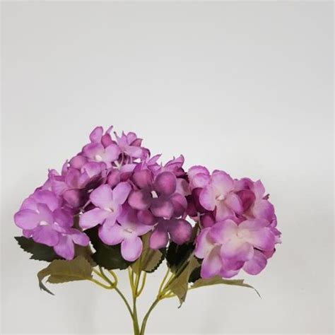 Hydrangea Bunch Deep Purple Desflora