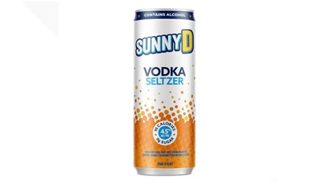 Best Homemade Vodka Seltzer Drinks 2023 Atonce