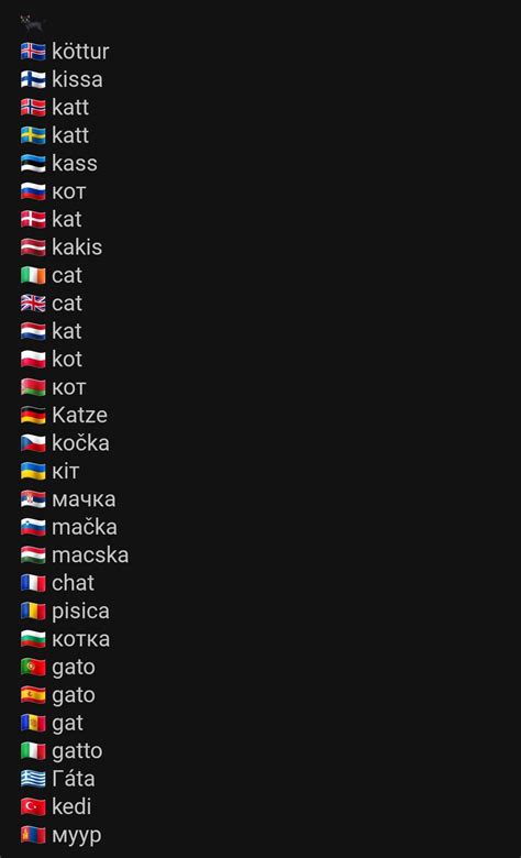 The Word Cat In Different Languages Rcats