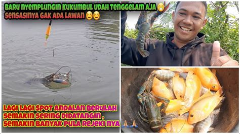 Lobster Air Tawar Babon Landed Mancing Liar Spot Mancing Cikarang