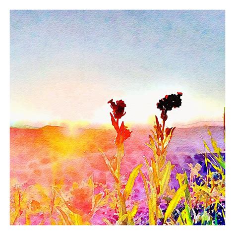 PrestigeArtStudios Sunrise on Flowers Painting Print | Painting, Flower ...