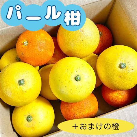 福岡県産 パール柑8個とおまけの橙5個の通販 By I果樹園｜ラクマ