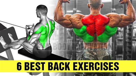 6 Fastest Effective Big Back Exercises Cable Arm Workout