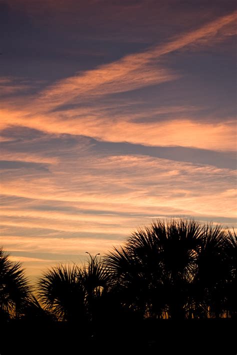 sunset in tampa bay — Polowick