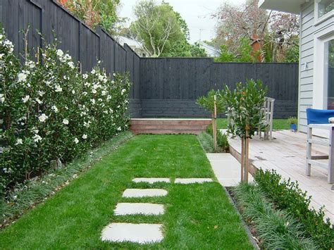 Setsugekka Camellia Hedge Hedges Cottage Garden Landscaping With Rocks