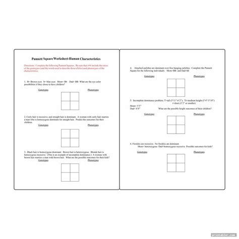 The Ultimate Guide To Punnett Square Worksheets From Basic Genetics To
