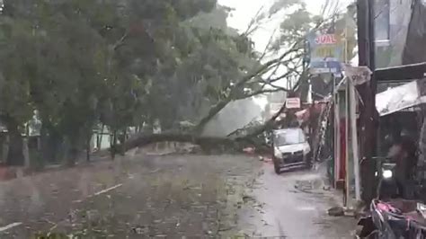 Hujan Dan Angin Kencang Selasa Sore Belasan Pohon Di Kota Bogor