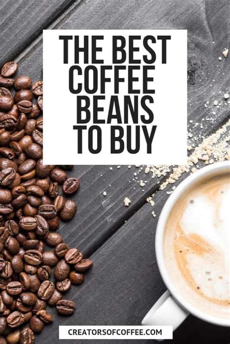 A Coffee Lovers Guide To The Best Coffee Beans (2023) - Creators of Coffee