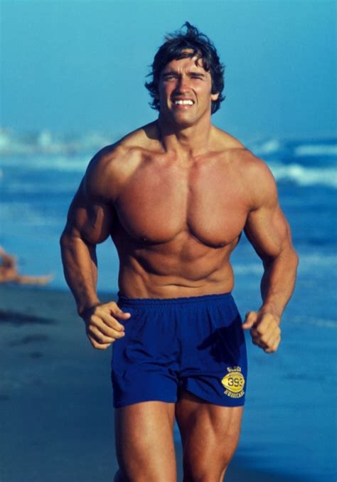 Muscle Gallery 17 Schwarzeneggerit Arnold Schwarzenegger Italian