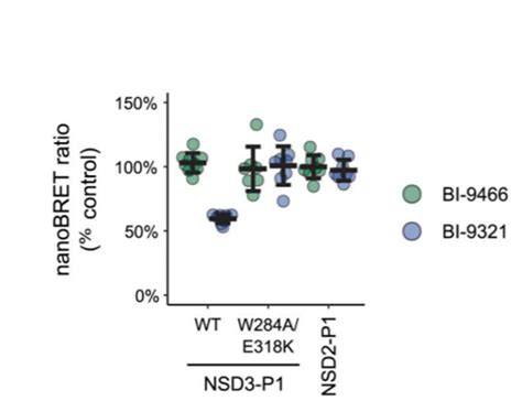 Nsd Pwwp And Histone H Interaction Cellular Assay