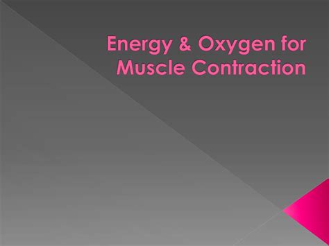 Ppt Energy And Oxygen For Muscle Contraction Powerpoint Presentation