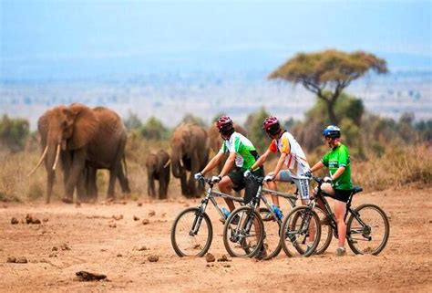 Mountainbike Tour Arusha Top Attractions In Tanzania