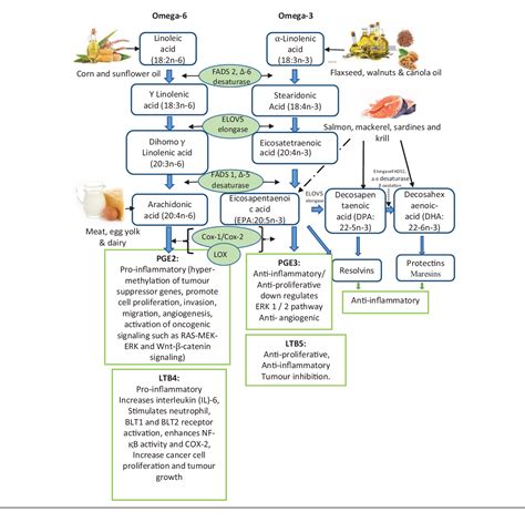 Figure From Molecular Mechanisms Associated With The Inhibitory Role