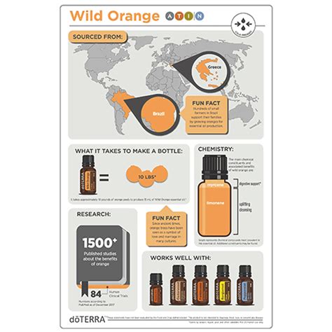 Wild Orange Oil Dōterra Essential Oils