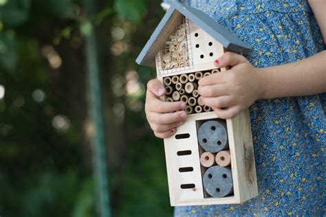 Insectenhotel Maken Tips En Stappen Voor Het Maken Van Een Insectenhotel