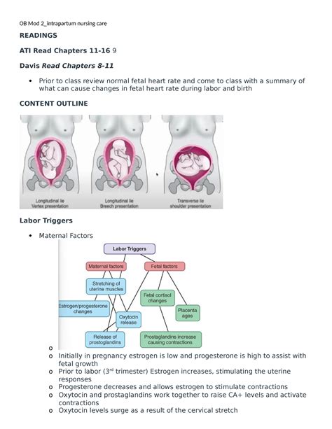 OB Mod 2 Intrapartum Exam 2 Study Guide READINGS ATI Read Chapters