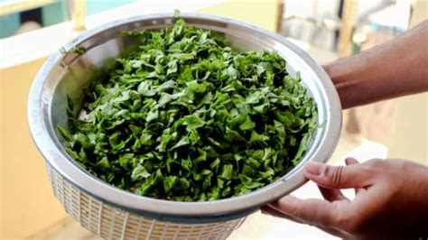 Easy Fried Spinach Recipe শীতের দিনে পালং দিয়ে বানিয়ে নিন এই রেসিপি