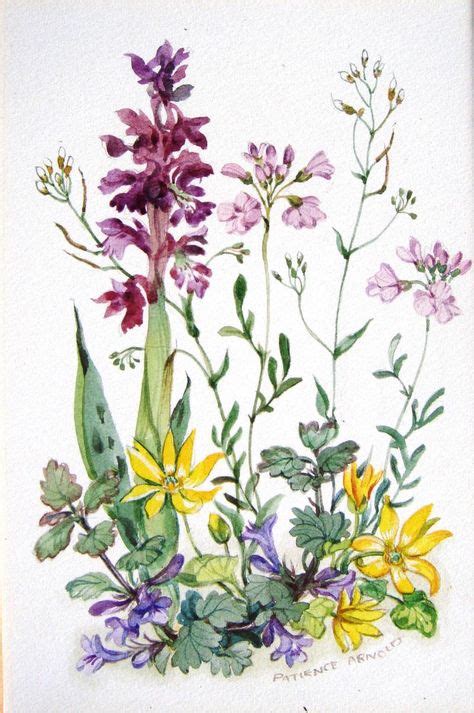 230 Wiesenblumen Ideen Wiesenblumen Blumen Aquarell Botanische