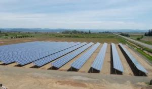 Solar Farms Everything You Need To Know Energy Transition Info